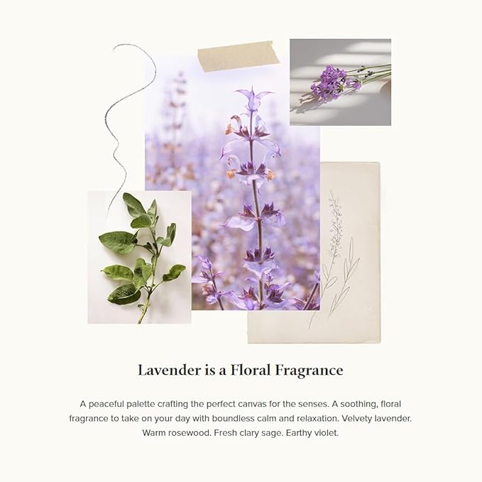 Thymes Perfume - 1.75 Fl Oz - Lavender