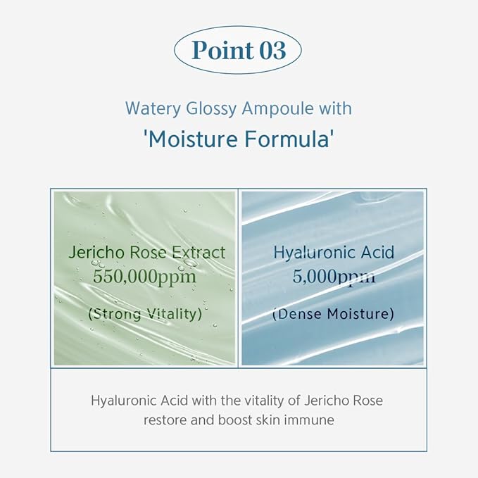 NACIFIC Hyal Booster Hydrating Set Toner